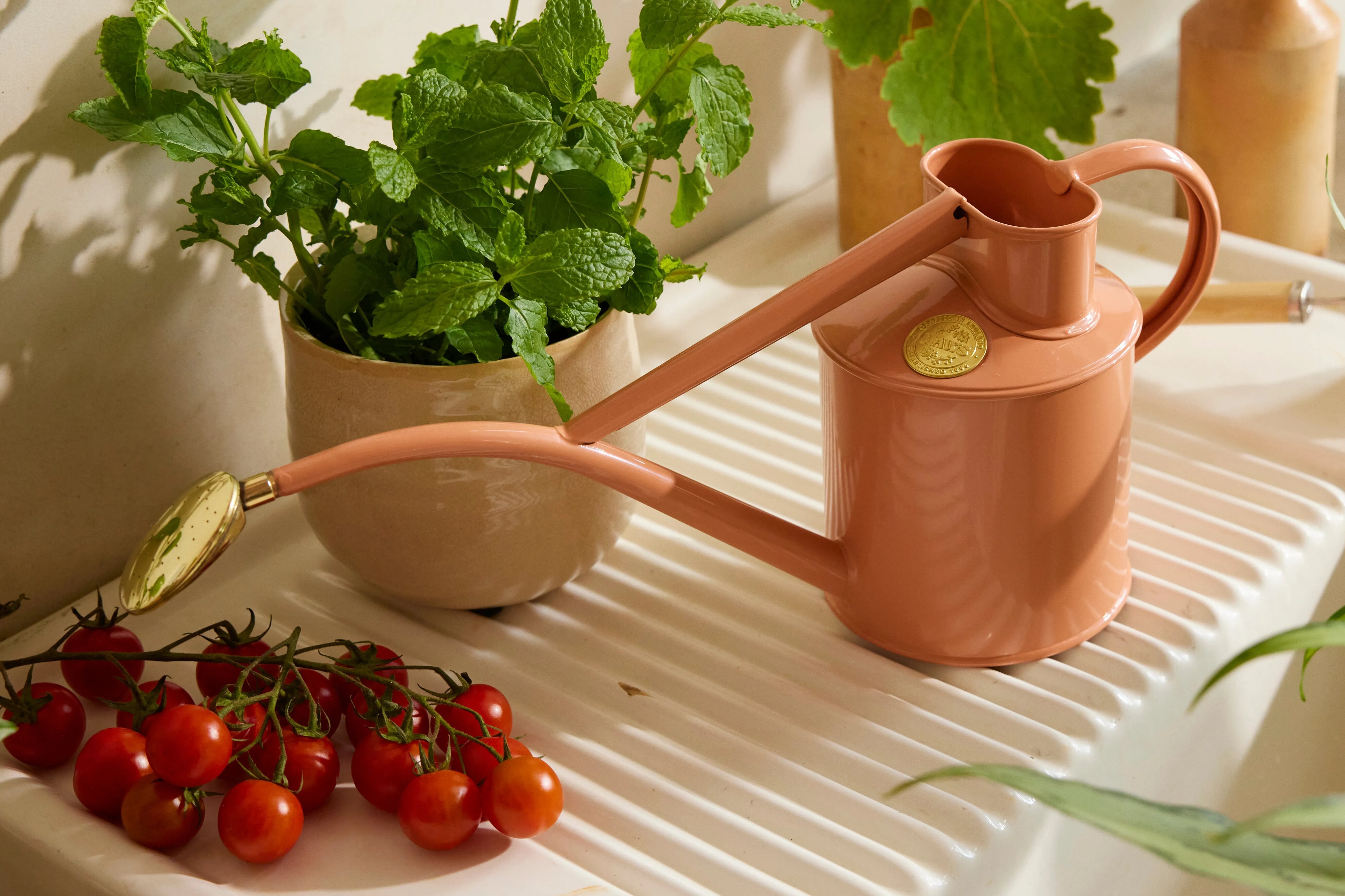  PINK ROTUS、WATERLIRY ２種のカップ&皿 2024_04_17_Haws_LifestyleShoot