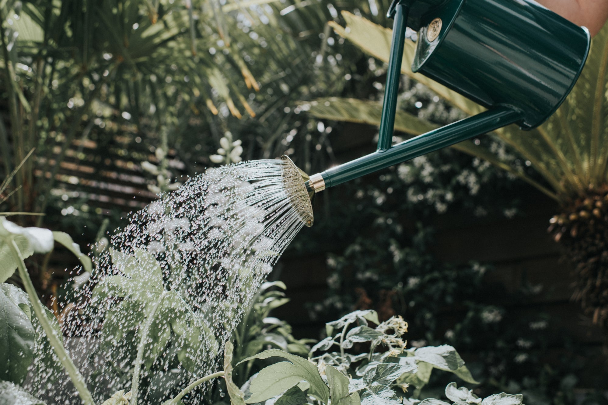 The Bearwood Brook Green - One Gallon – US Haws Watering Cans