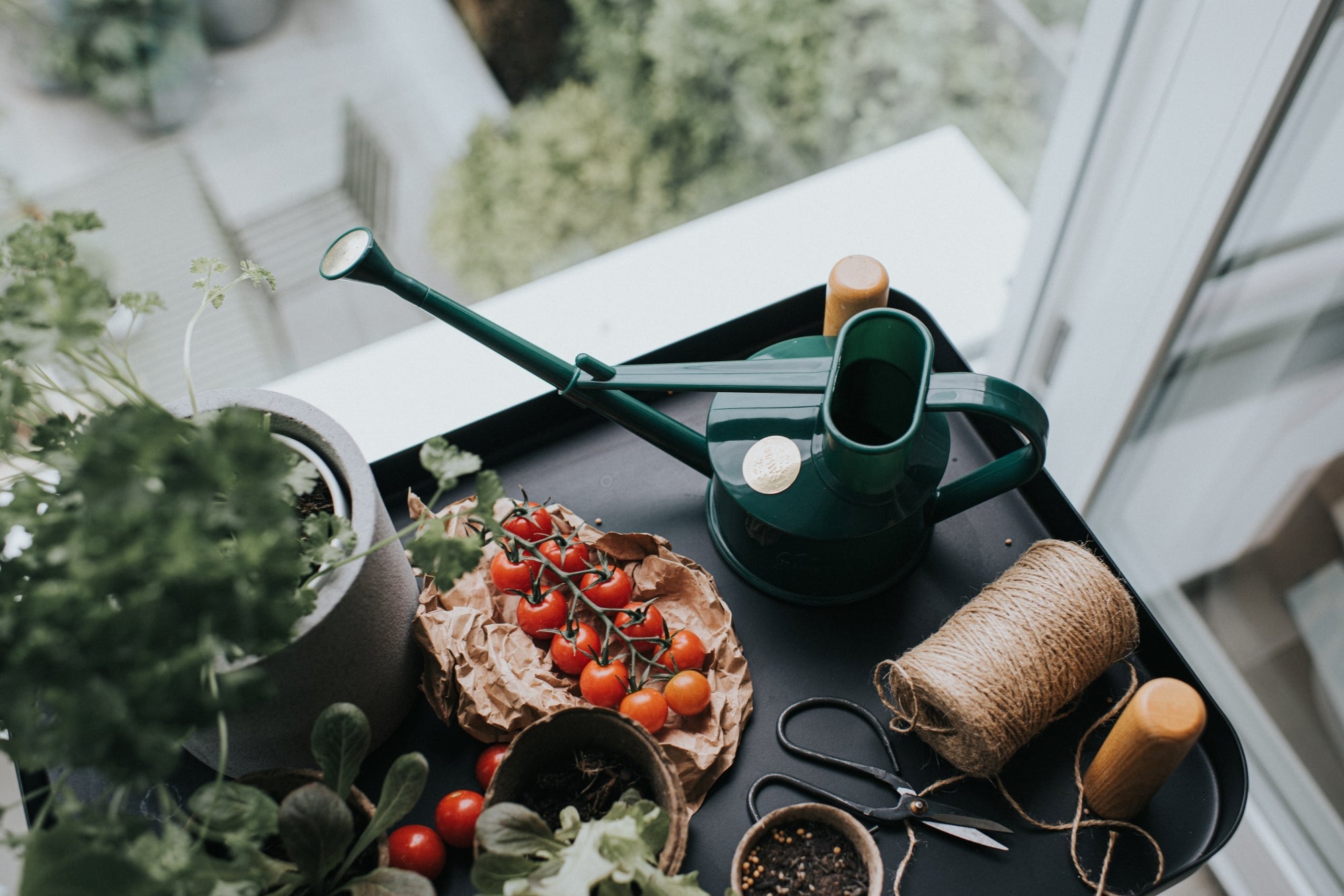 The Langley Sprinkler Green - One Pint – US Haws Watering Cans