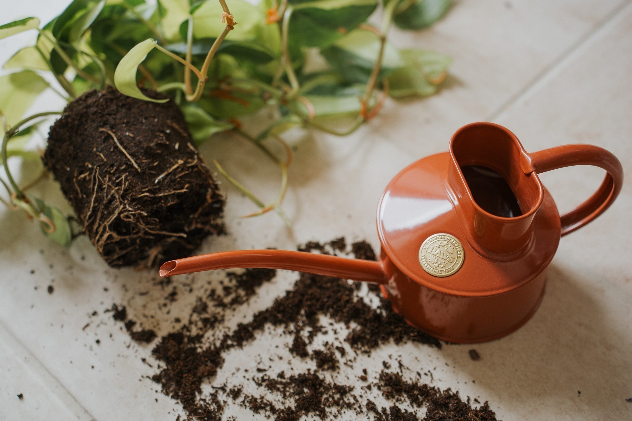 Soil secrets: how your potting mix affects how much you water