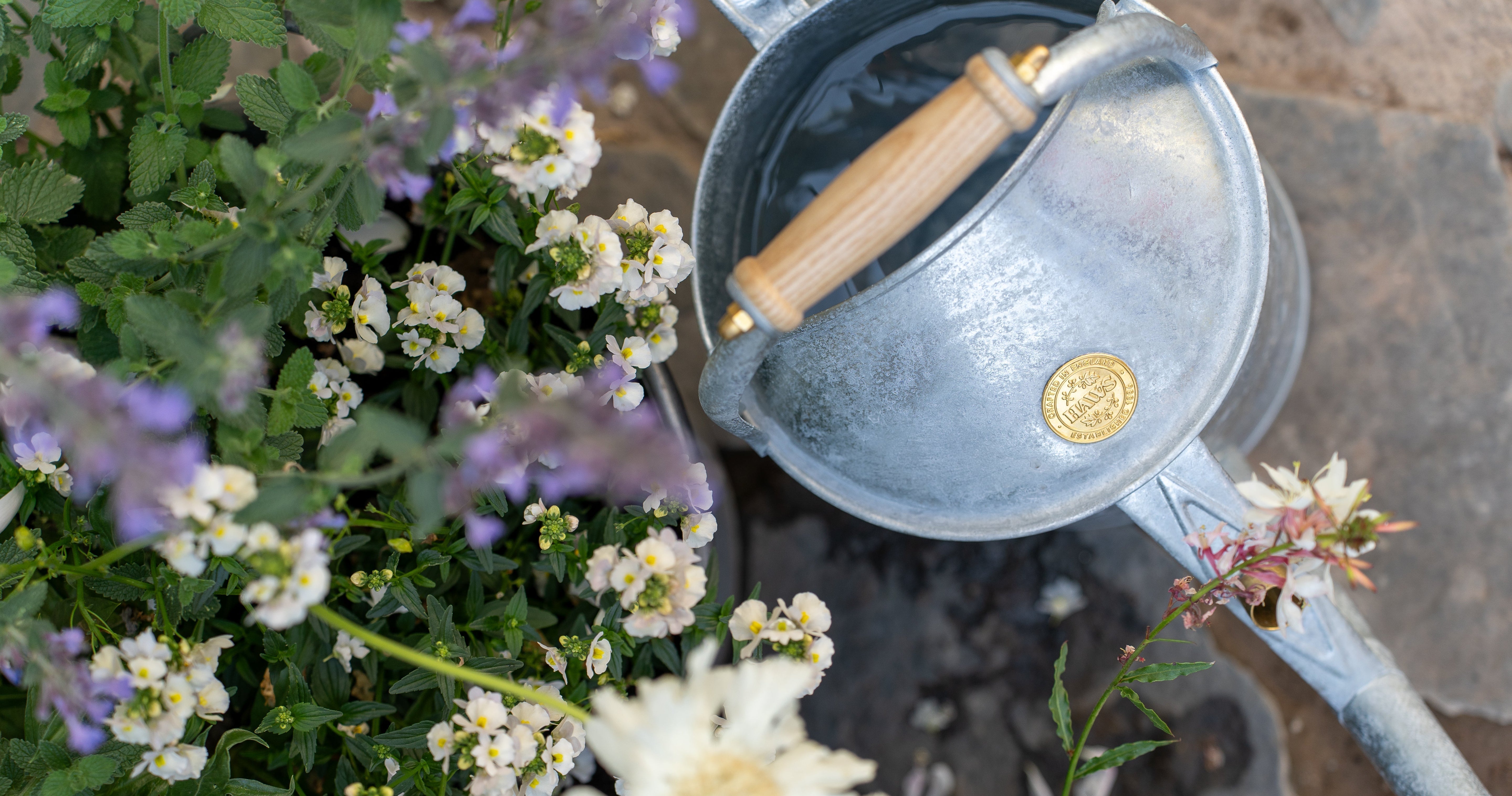 What to water: July