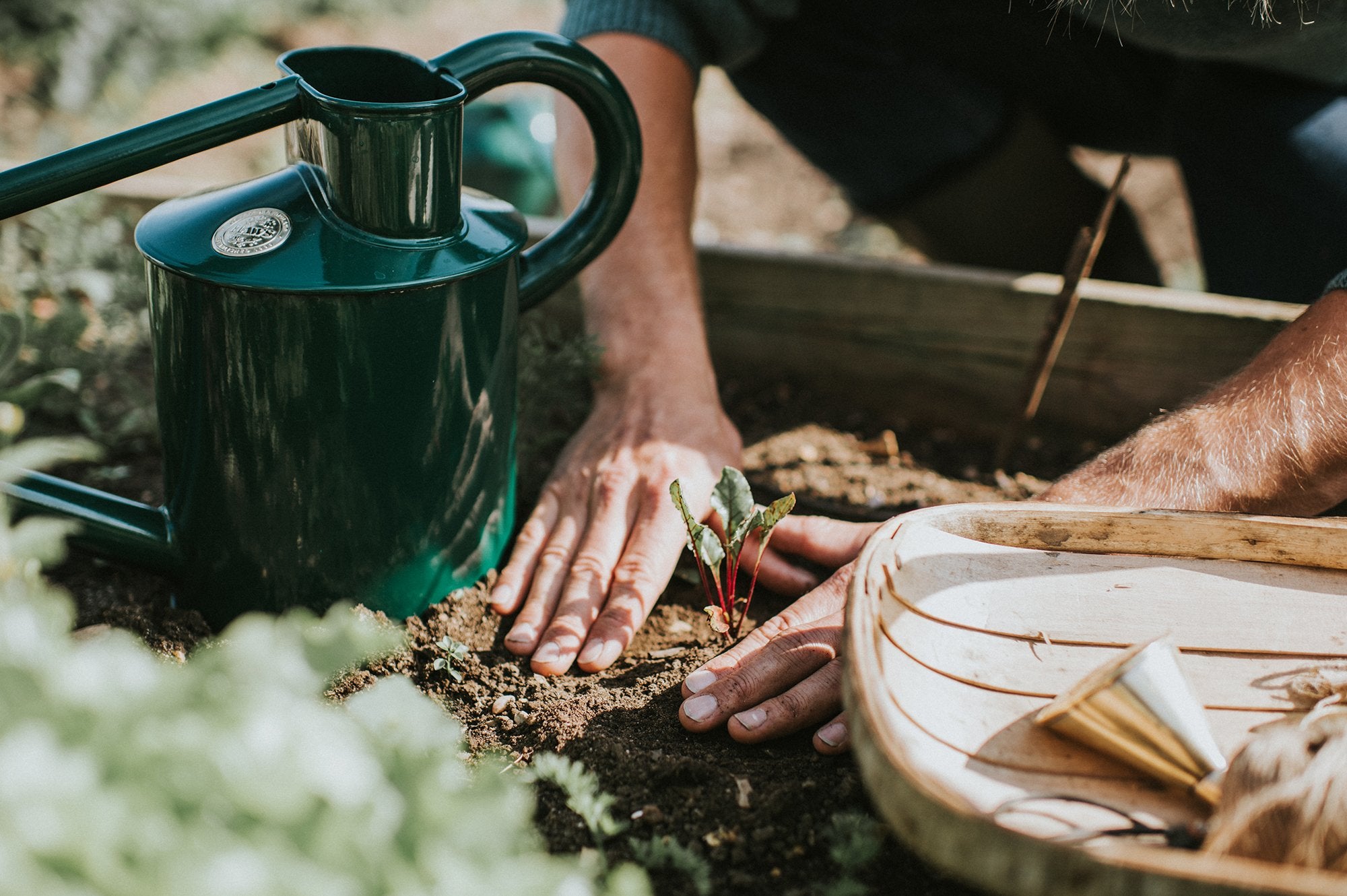 Grow Your Own - Part 2