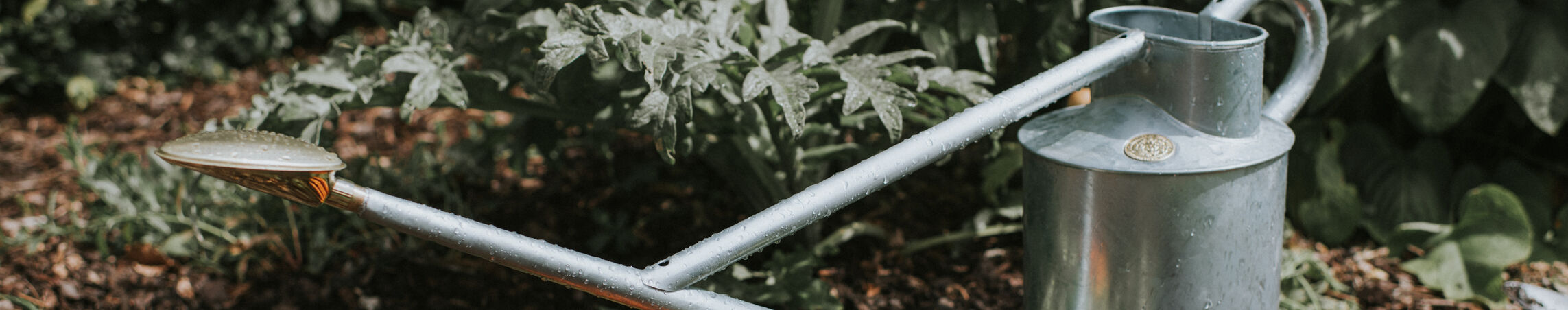Outdoor metal watering cans
