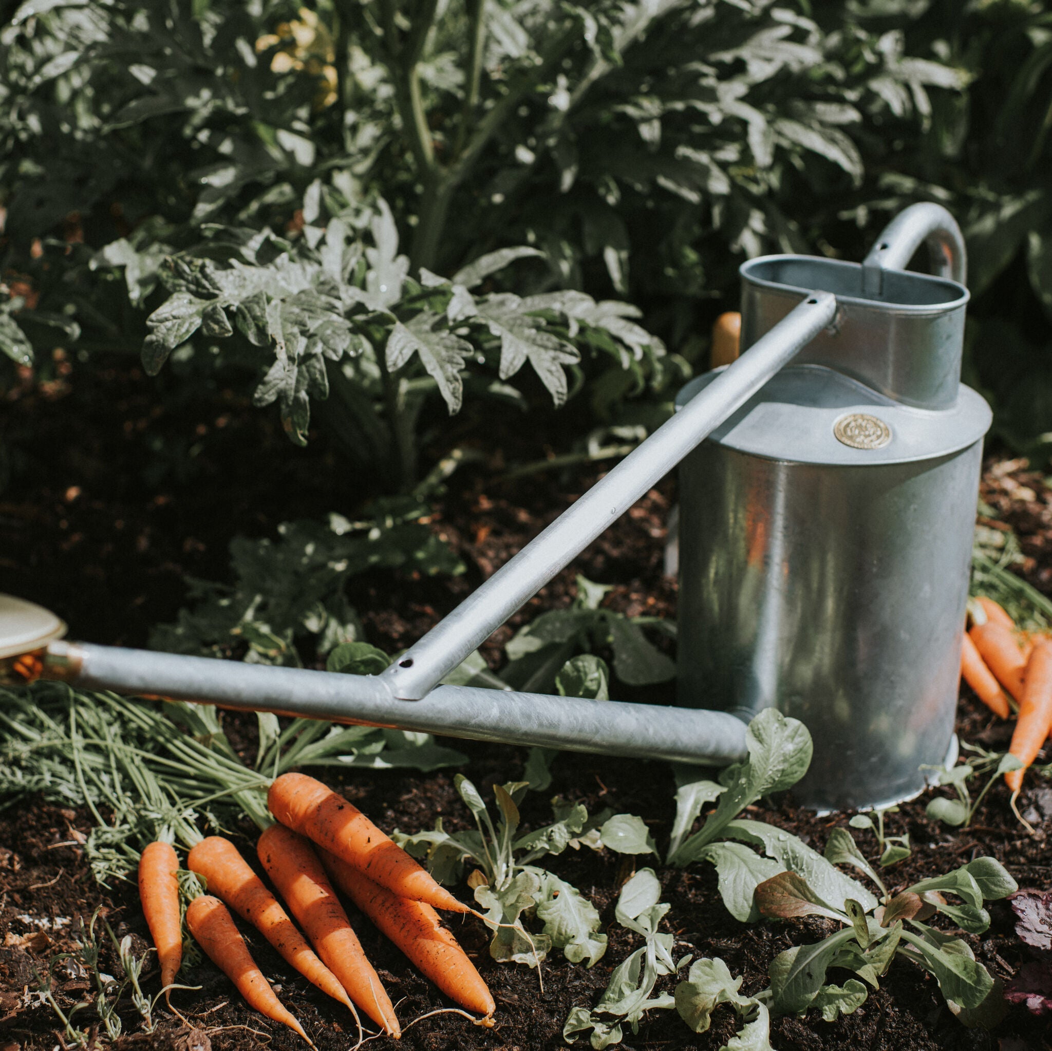 Shop All Products – Haws UK
