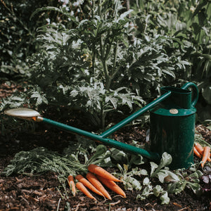 The Warley Fall HDG - Two Gallon Green