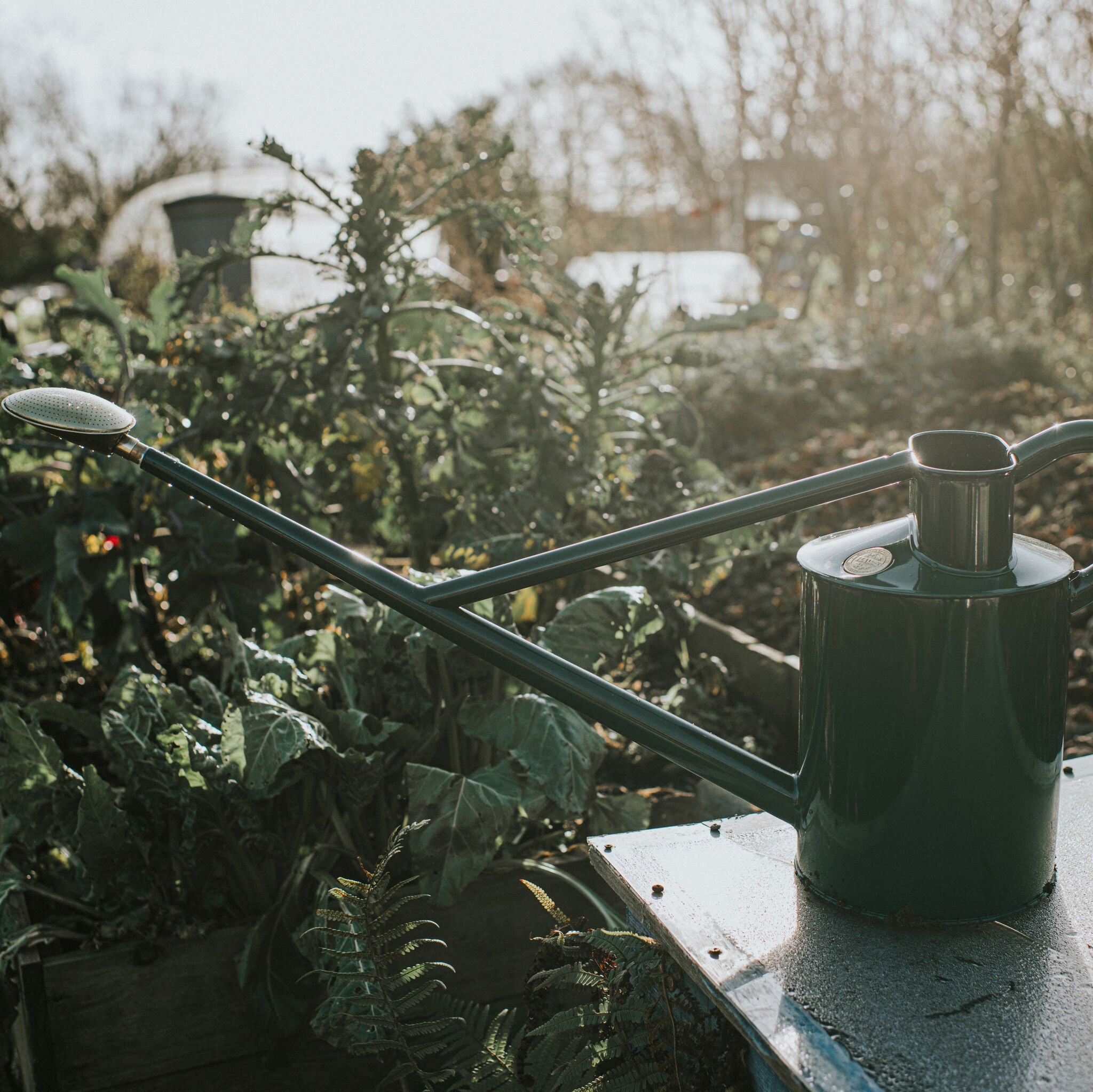 The Warley Fall - Green - Full Monty Kit - Two Gallon