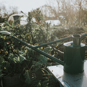 The Warley Fall - Green - Starter Kit - Two Gallon