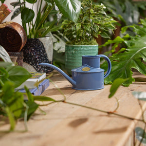 The Fazeley Flow - Houseplant Set - Bluebell Meadow & Copper - One Pint