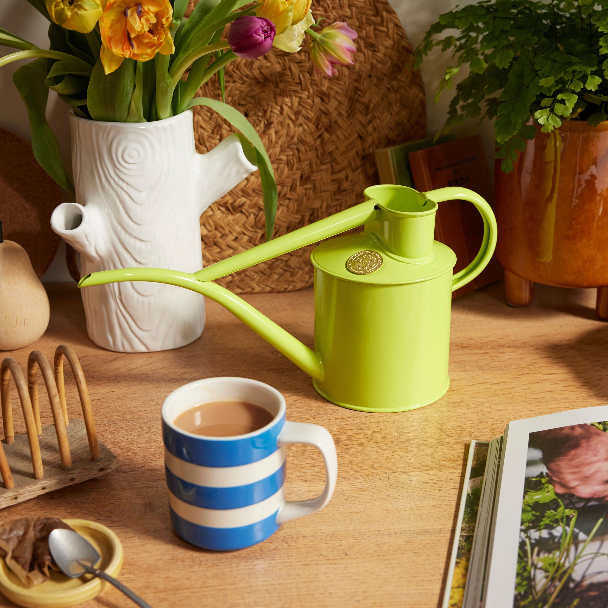 The Fazeley Flow - Houseplant Set - Apple Green & Copper - Two Pint