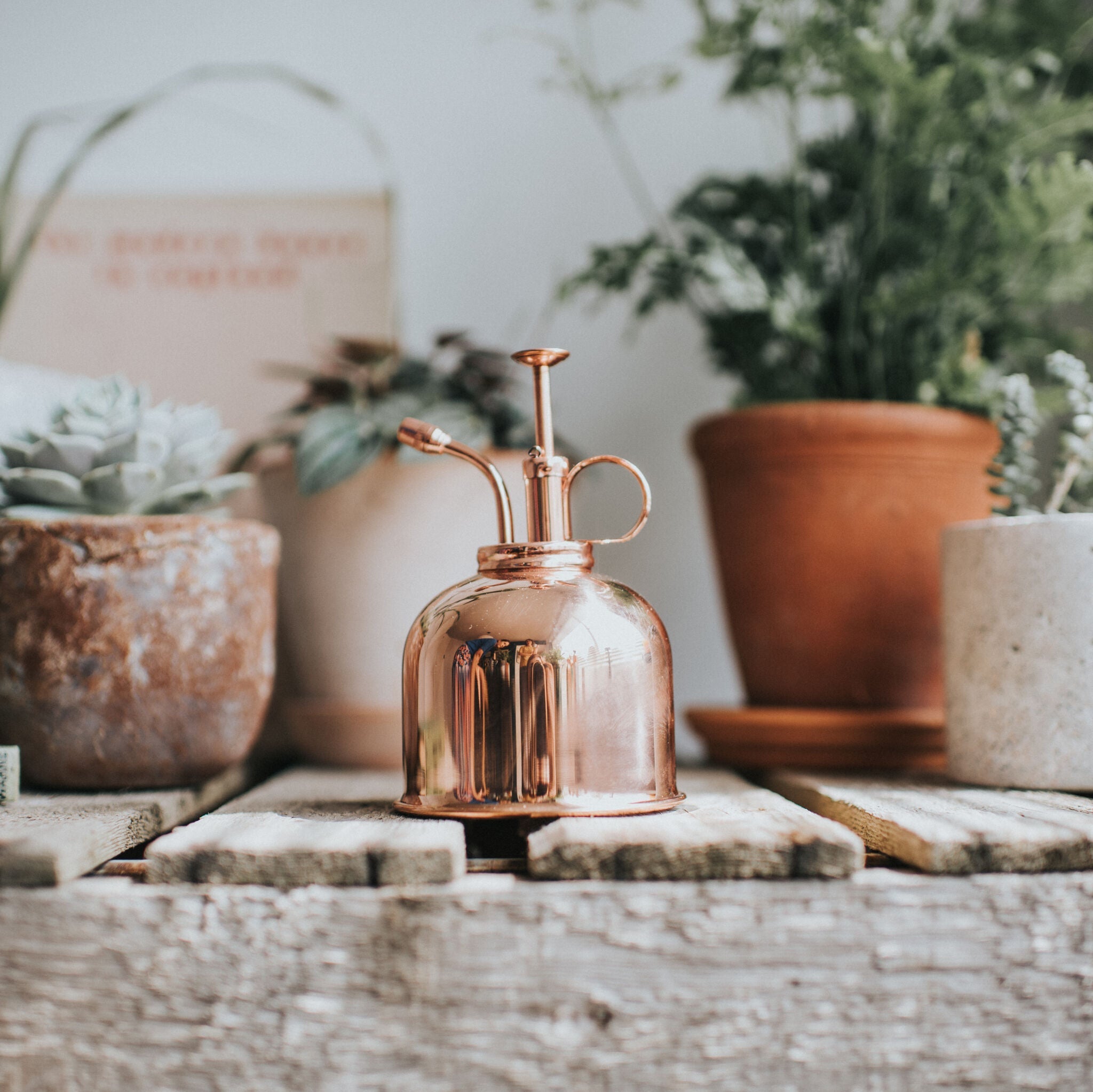 The Fazeley Flow - Houseplant Set - Bluebell Meadow & Copper - Two Pint
