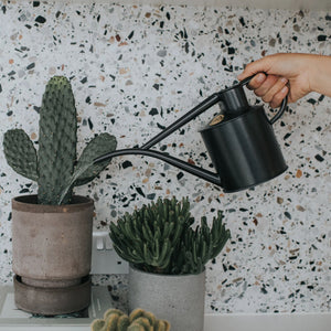 The Fazeley Flow - Houseplant Set - Graphite & Copper - Two Pint