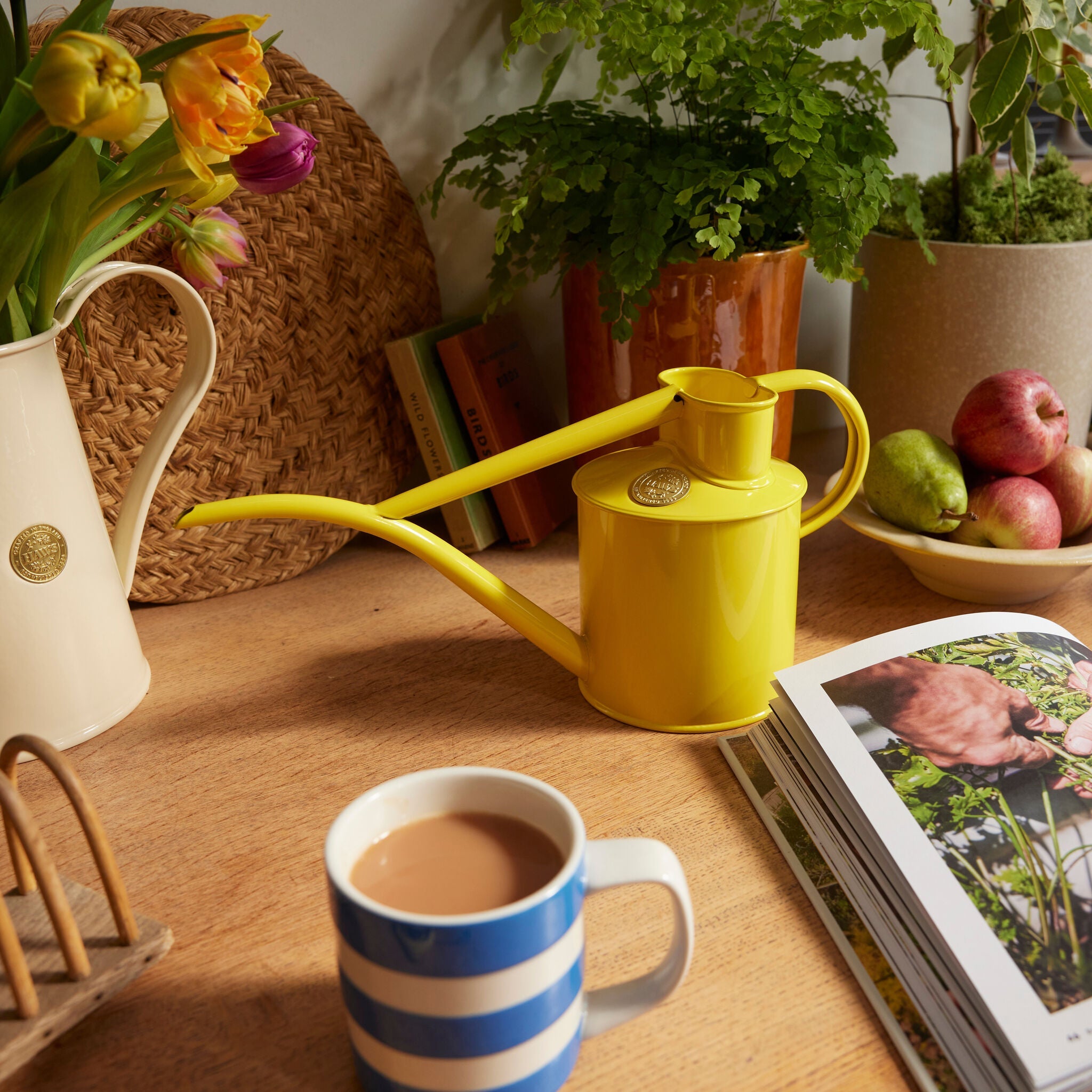 The Fazeley Flow - Houseplant Set - Lotus Yellow & Copper - Two Pint