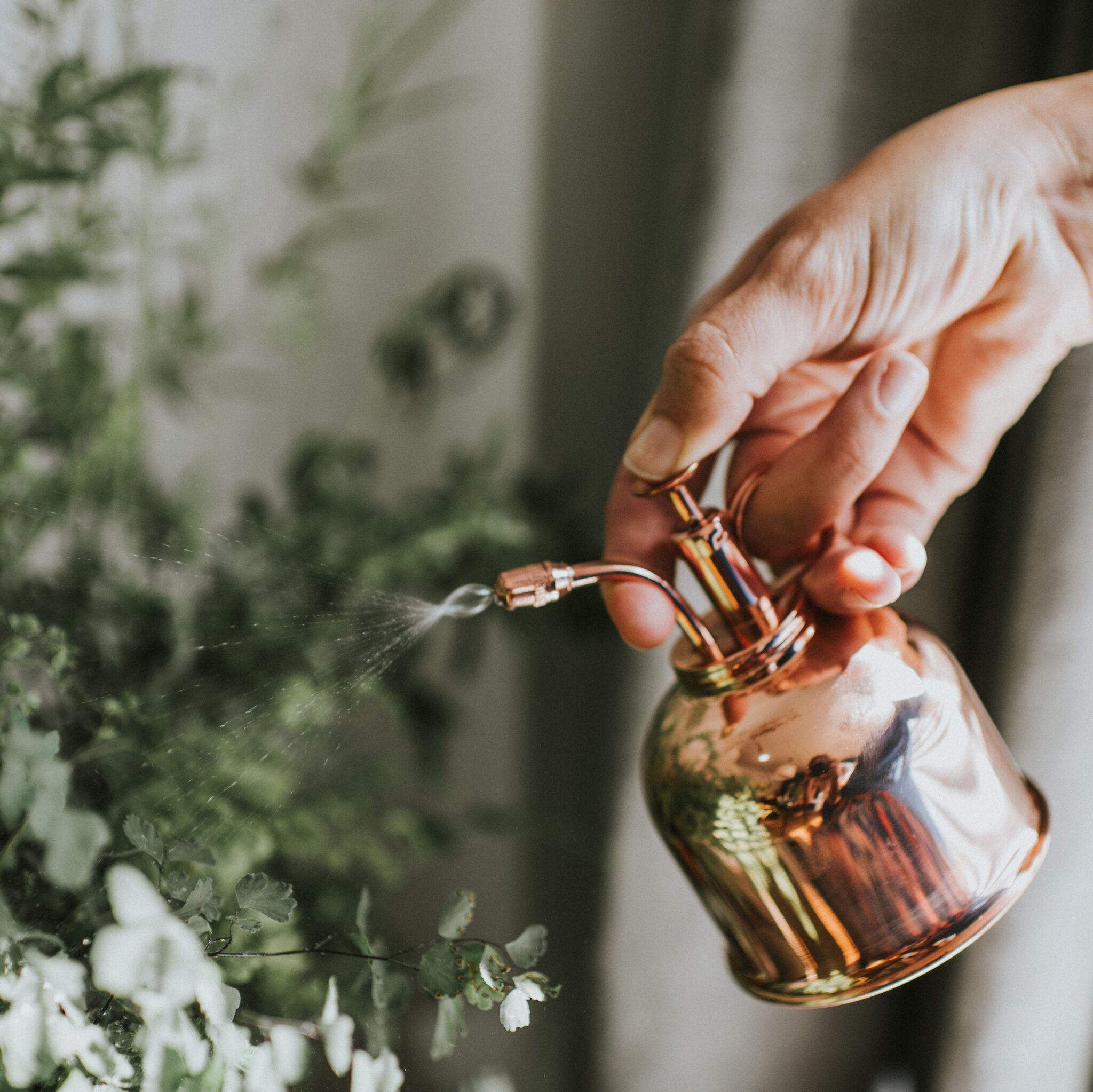 The Fazeley Flow - Houseplant Set - Copper - Two Pint