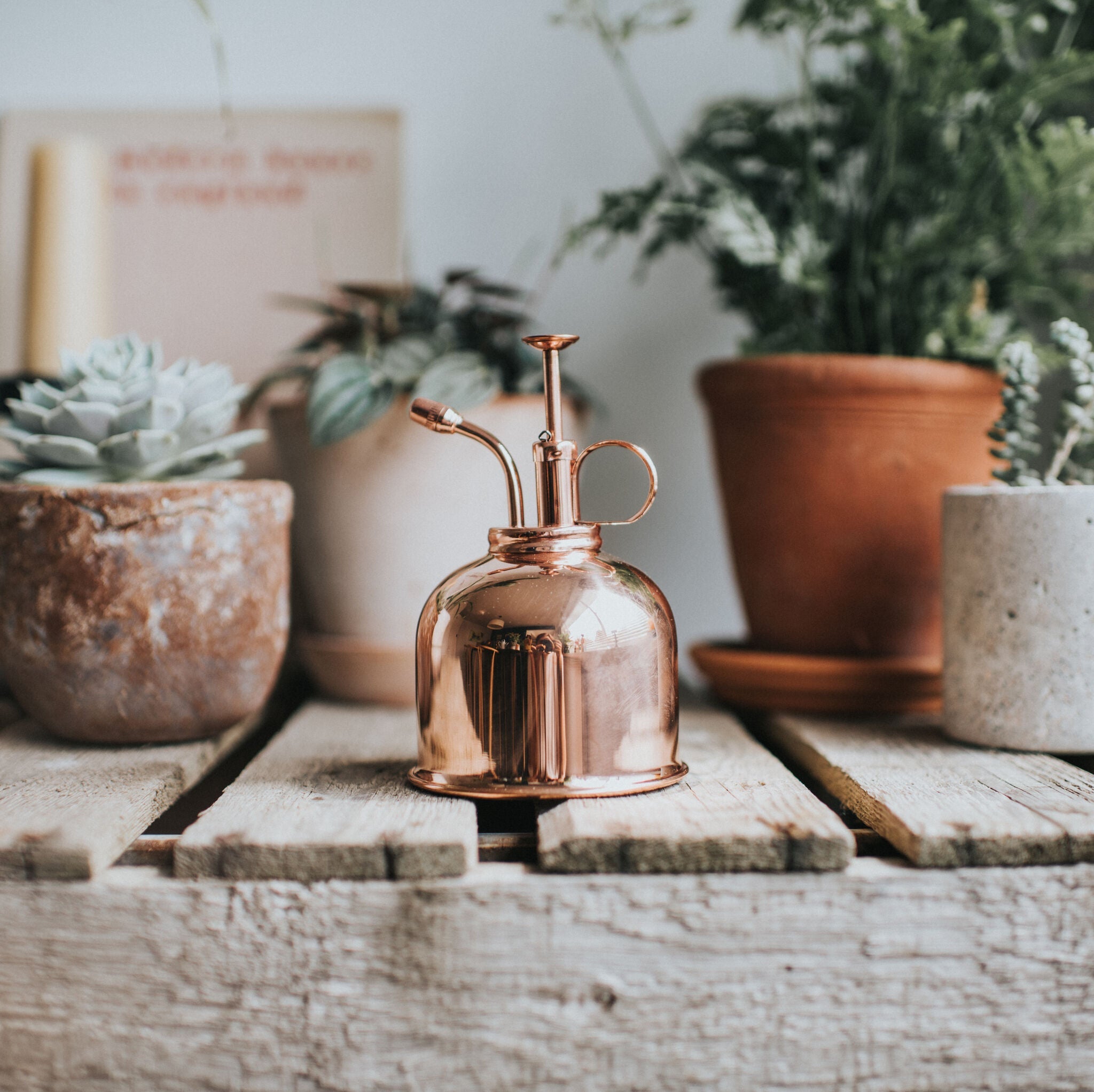 The Rowley Ripple - Houseplant Set - British Navy Blue & Copper - Two Pint