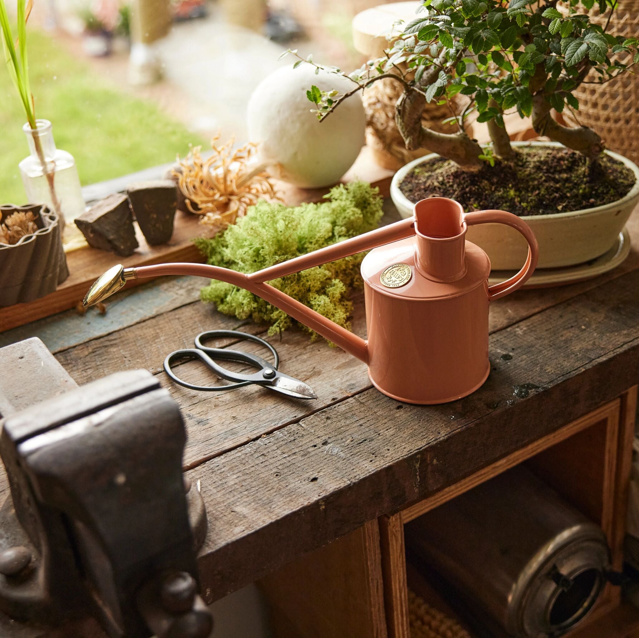 The Rowley Ripple - Houseplant Set - Pink Clay & Copper - Two Pint