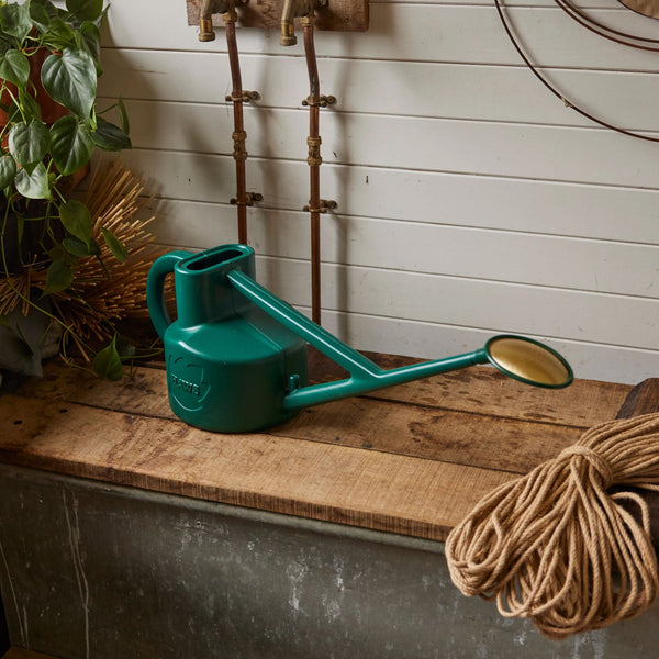The Selly Soak