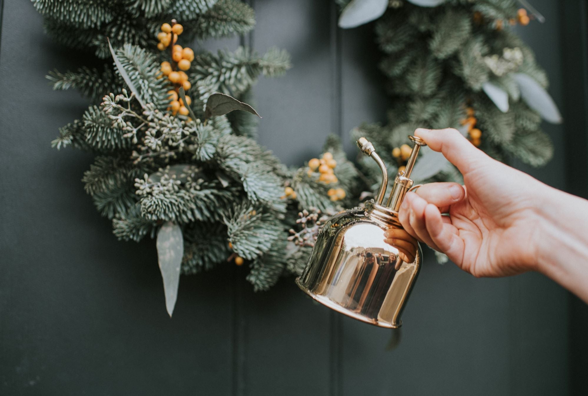 The Fazeley Flow - Houseplant Set - Graphite & Brass - Two Pint