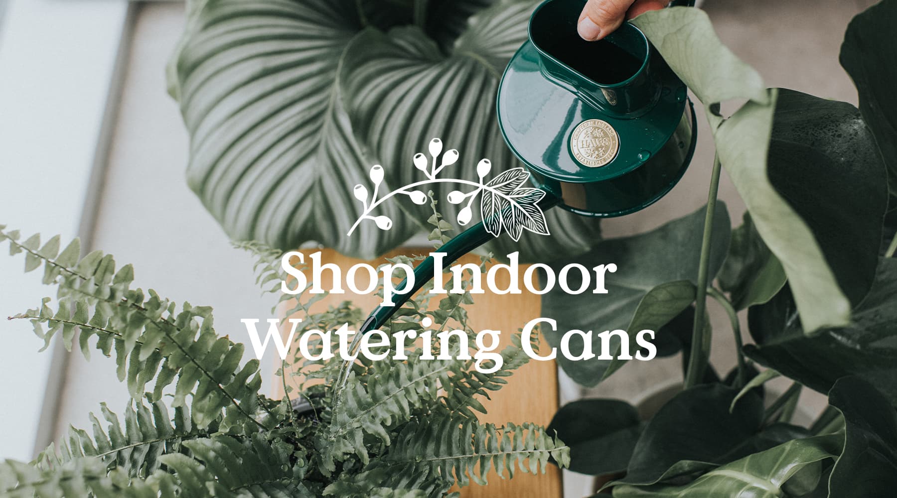 Indoor watering cans